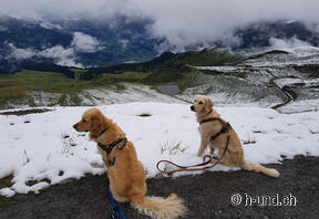 Stazione a monte di Maennlichen
