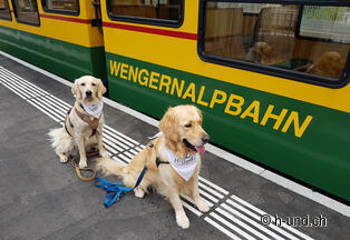 Partenza da Lauterbrunnen a Wengen