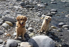 L'expérience de l'aventure Maggia