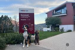 Reka Feriendorf Lugano Albonago