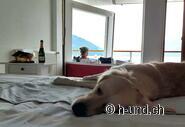 Relaxing together - the perfect place.