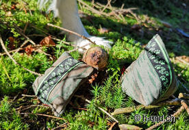 Bien camouflés, les gobelins rendent la recherche difficile.