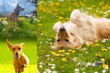 Frühlingserwachen: Die Natur erwacht aus dem Winterschlaf