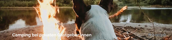 Camping with private host:inside