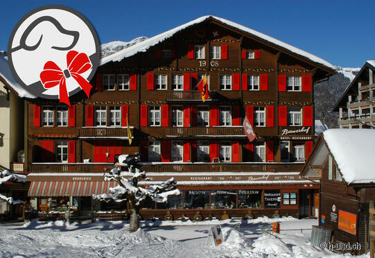 Swiss Lodge Hotel Bernerhof