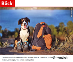 Escursioni con il tuo amico a quattro zampe