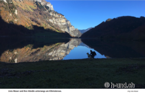 Escursioni con un cane - non ci vuole molto per essere felici