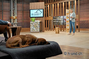 Grotte dei Lions Svizzera