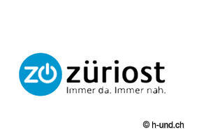 Die Schweiz mit Hund erleben