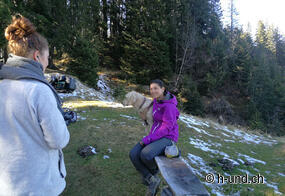 Die Schweiz mit Hund erleben