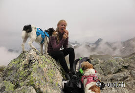 Verdienter Lohn für Zweibeiner und Hunde