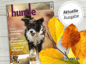 H-and.ch Associazione Svizzera del Turismo